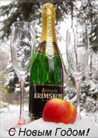 Новый 2010 год